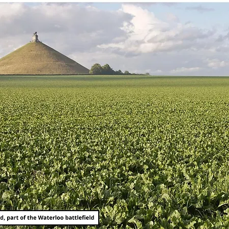 Les Campanes - Wellness 8 Pers Avec Piscine Interieure & Sauna - Proche Mons Ferienhaus *